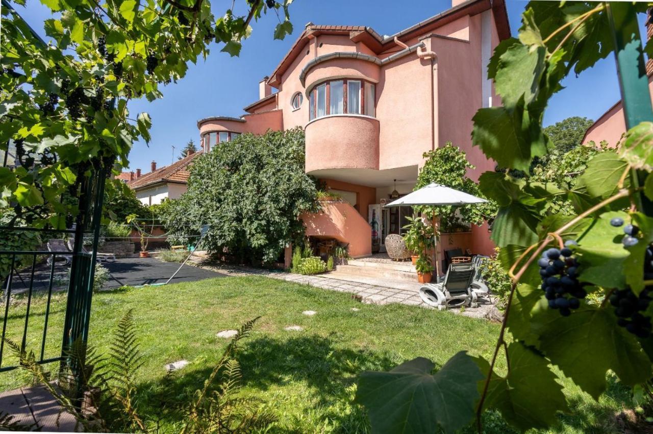Villa-Hotel Escala Cluj-Napoca Esterno foto